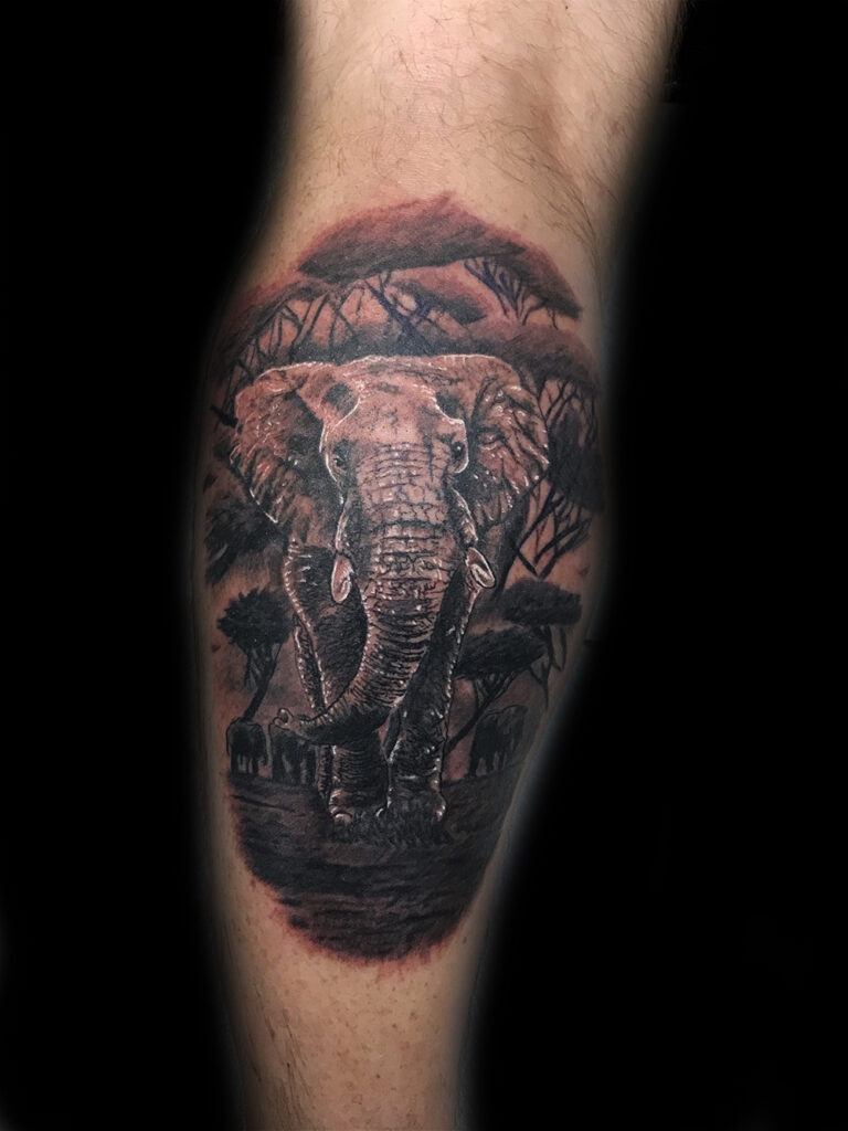 Elefante - Tattoo Realista Mallorca
